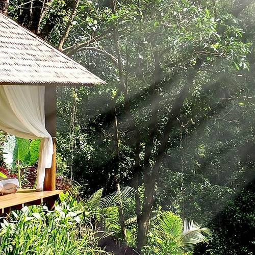 Best Wellness Holidays for Burnout Recovery