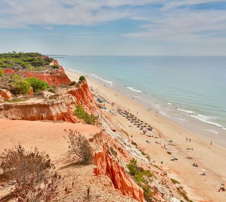 August Wellness Holidays