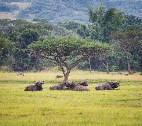 September Wellness Holidays