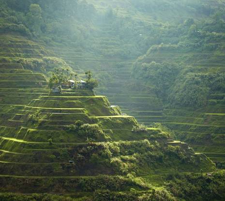 November Wellness Holidays