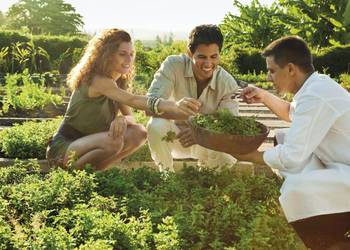 learn a healthy lifestyle on holiday